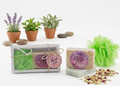Kit de Regalo Spa Artesanal – Jabón de Avena, Aloe Vera y Esponja Exfoliante